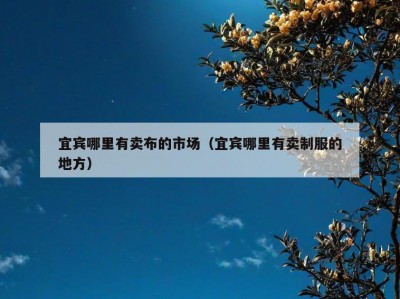 宜宾哪里有卖布的市场（宜宾哪里有卖制服的地方）