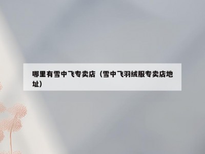 哪里有雪中飞专卖店（雪中飞羽绒服专卖店地址）