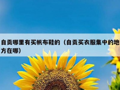 自贡哪里有买帆布鞋的（自贡买衣服集中的地方在哪）