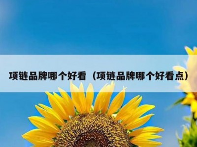 项链品牌哪个好看（项链品牌哪个好看点）