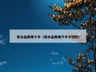 紫水晶戴哪个手（紫水晶戴哪只手才招财）