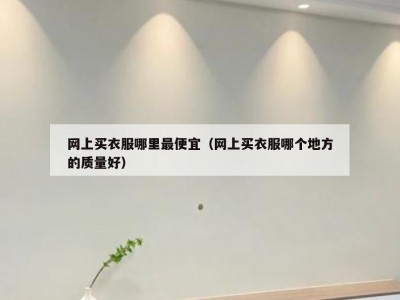 网上买衣服哪里最便宜（网上买衣服哪个地方的质量好）