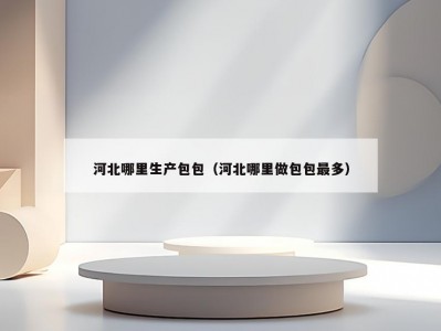 河北哪里生产包包（河北哪里做包包最多）