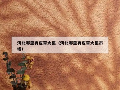河北哪里有皮草大集（河北哪里有皮草大集市场）