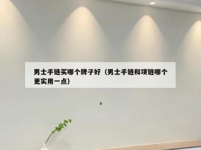男士手链买哪个牌子好（男士手链和项链哪个更实用一点）
