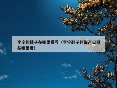 李宁的鞋子在哪里看号（李宁鞋子的生产日期在哪里看）