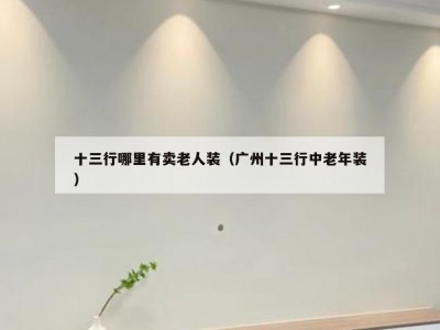 十三行哪里有卖老人装（广州十三行中老年装）