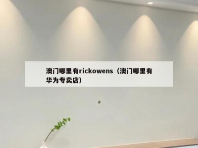 澳门哪里有rickowens（澳门哪里有华为专卖店）