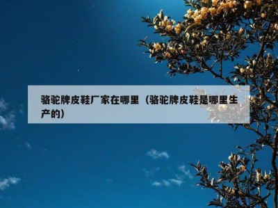 骆驼牌皮鞋厂家在哪里（骆驼牌皮鞋是哪里生产的）