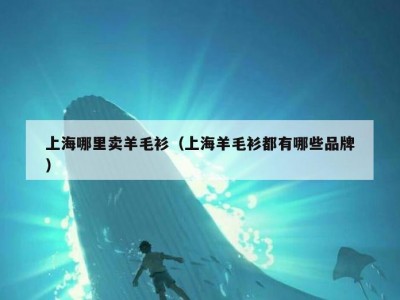 上海哪里卖羊毛衫（上海羊毛衫都有哪些品牌）
