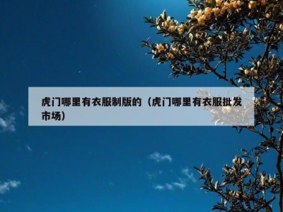 虎门哪里有衣服制版的（虎门哪里有衣服批发市场）