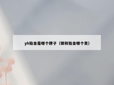 yh铂金是哪个牌子（银和铂金哪个贵）