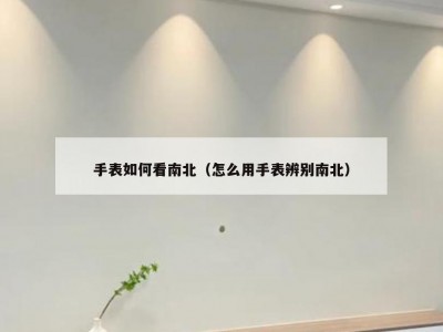 手表如何看南北（怎么用手表辨别南北）