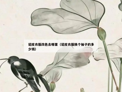 貂皮衣服改色去哪里（貂皮衣服换个袖子的多少钱）