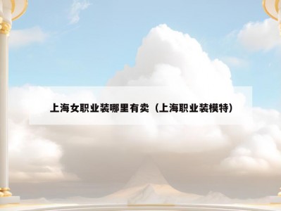 上海女职业装哪里有卖（上海职业装模特）