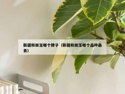 新疆和田玉哪个牌子（新疆和田玉哪个品种最贵）