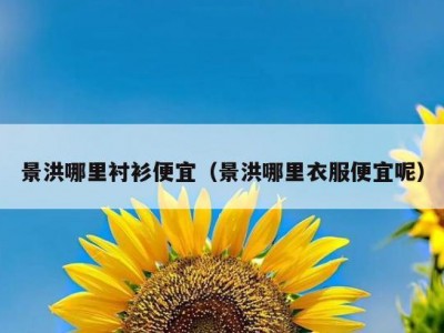 景洪哪里衬衫便宜（景洪哪里衣服便宜呢）