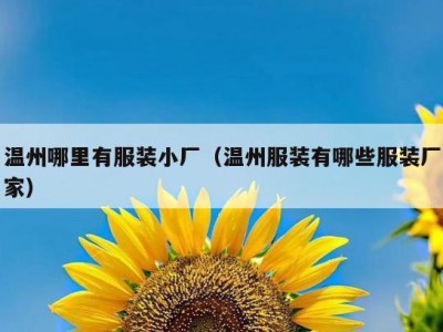 温州哪里有服装小厂（温州服装有哪些服装厂家）