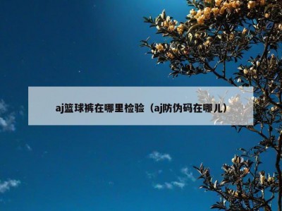 aj篮球裤在哪里检验（aj防伪码在哪儿）