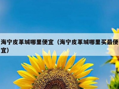 海宁皮革城哪里便宜（海宁皮革城哪里买最便宜）