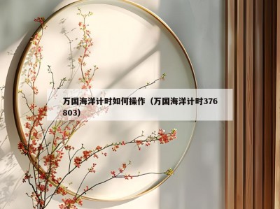 万国海洋计时如何操作（万国海洋计时376803）