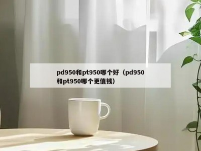 pd950和pt950哪个好（pd950和pt950哪个更值钱）