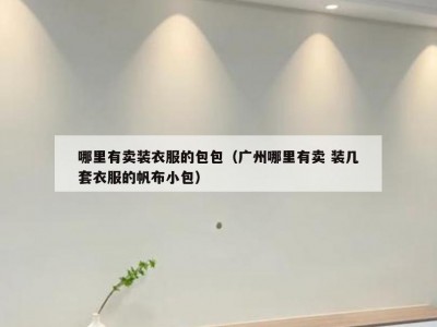 哪里有卖装衣服的包包（广州哪里有卖 装几套衣服的帆布小包）