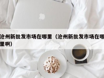 沧州新批发市场在哪里（沧州新批发市场在哪里啊）