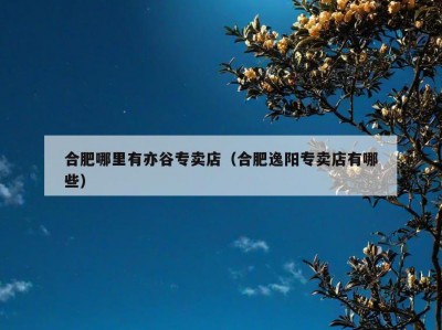 合肥哪里有亦谷专卖店（合肥逸阳专卖店有哪些）