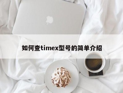 如何查timex型号的简单介绍