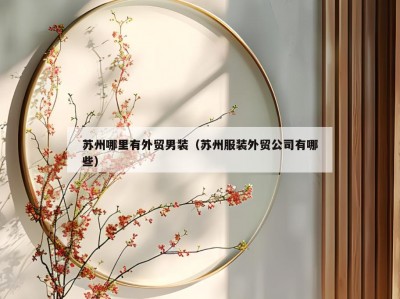 苏州哪里有外贸男装（苏州服装外贸公司有哪些）