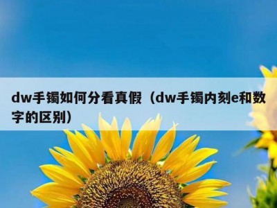 dw手镯如何分看真假（dw手镯内刻e和数字的区别）
