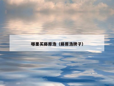 哪里买藤原浩（藤原浩牌子）