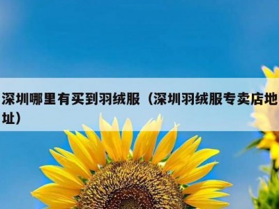 深圳哪里有买到羽绒服（深圳羽绒服专卖店地址）