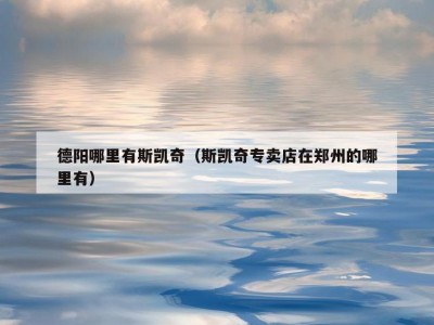 德阳哪里有斯凯奇（斯凯奇专卖店在郑州的哪里有）