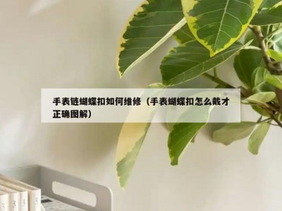 手表链蝴蝶扣如何维修（手表蝴蝶扣怎么戴才正确图解）