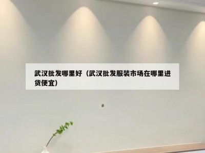 武汉批发哪里好（武汉批发服装市场在哪里进货便宜）