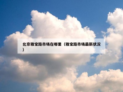 北京雅宝路市场在哪里（雅宝路市场最新状况）