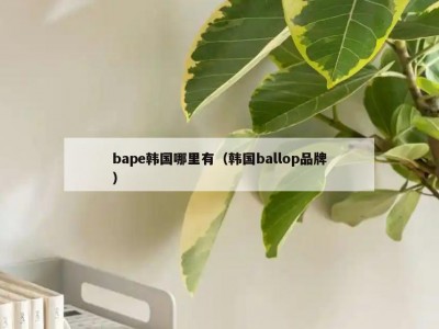 bape韩国哪里有（韩国ballop品牌）