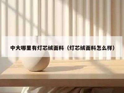中大哪里有灯芯绒面料（灯芯绒面料怎么样）