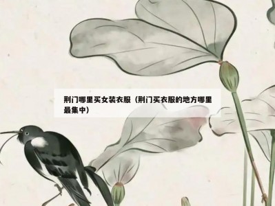 荆门哪里买女装衣服（荆门买衣服的地方哪里最集中）