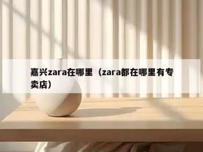 嘉兴zara在哪里（zara都在哪里有专卖店）