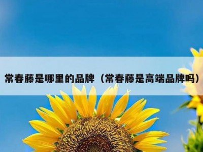 常春藤是哪里的品牌（常春藤是高端品牌吗）
