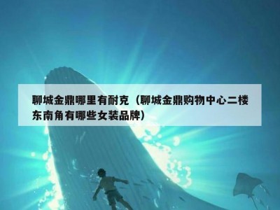 聊城金鼎哪里有耐克（聊城金鼎购物中心二楼东南角有哪些女装品牌）
