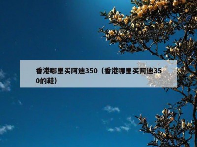 香港哪里买阿迪350（香港哪里买阿迪350的鞋）