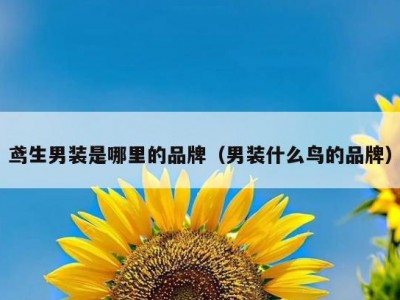 鸢生男装是哪里的品牌（男装什么鸟的品牌）