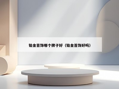 铂金首饰哪个牌子好（铂金首饰好吗）