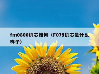 fm0800机芯如何（F078机芯是什么样子）