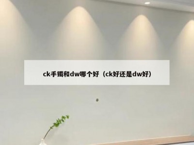 ck手镯和dw哪个好（ck好还是dw好）