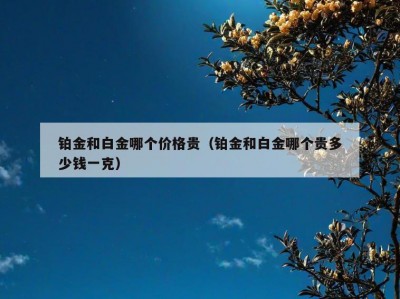 铂金和白金哪个价格贵（铂金和白金哪个贵多少钱一克）